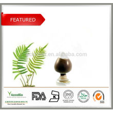 High Quality Herb Extract Polypodium leucotomos Extract 4:1